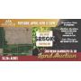 Southern Randolph County Land Auction- 950 S and 425 W