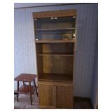 Bookshelf/Display Case