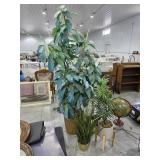 Silk Plants