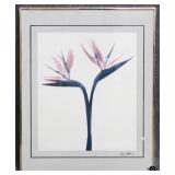 Framed Art Unknown Artist