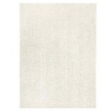 5 x 7 Mainstays Shag Rug New In Package