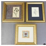 Framed Prints