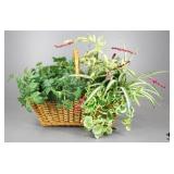Artificial Greenery Arrangement w/ Basket