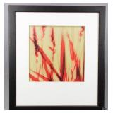 Framed Print by Ethan Jantzer