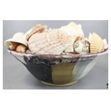 Sea Shell Collection in Pottery Bowl