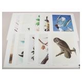 John J. Audubon Prints-1966 / 10 pc