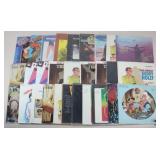 Vinyl Record Assortment / 30 pc