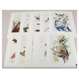 John J. Audubon Prints-1966 / 10 pc