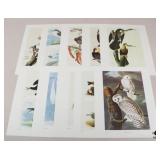 John J. Audubon Prints-1966 / 10 pc