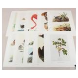 John J. Audubon Prints-1966 / 10 pc
