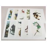 John J. Audubon Prints - 1966 / 10 pc