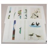 John J. Audubon Prints-1966 / 10 pc