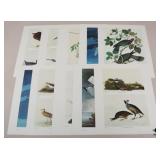John J. Audubon Prints-1966 / 10 pc