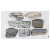 Petrified Wood Specimens