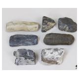 Petrified Wood Specimens