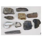 Petrified Wood Specimens