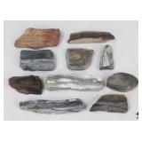 Petrified Wood Specimens