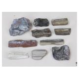 Petrified Wood Specimens