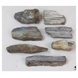 Petrified Wood Specimens