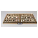 Vintage  Letterpress Printer's Drawer W/Seashells