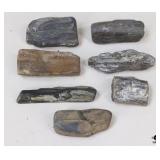 Petrified Wood Specimens