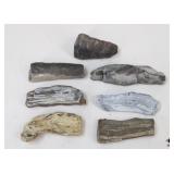 Petrified Wood Specimens