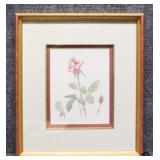 Rose Print by Bertrand