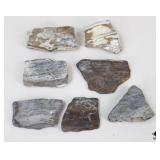 Petrified Wood Specimens