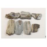 Petrified Wood Specimens