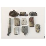 Petrified Wood Specimens