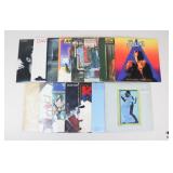 Vinyl Record Assortment / 15 Pc