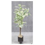 Artificial Tree in Footed Planter
