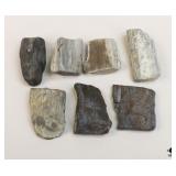 Petrified Wood Specimens