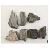 Petrified Wood Specimens