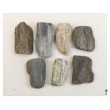 Petrified Wood Specimens