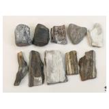Petrified Wood Specimens