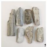 Petrified Wood Specimens
