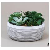 Artificial Succulents In Planter