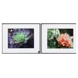 Succulent Prints / 2 pc