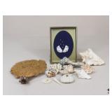 Natural Seashells & Coral