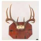 Antler Mount