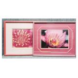 Jane Mahavier Floral Photography 2/PC