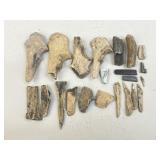 Bone Fragments / 21 pcs