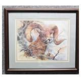 'Big Horn Sheep' Print by K.Maroon