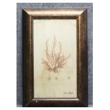 'Coral Majestic VI' Metallic Print by Sherry Black