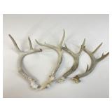 Antlers/ 4 pc