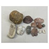 Rock Collection / 12 pcs