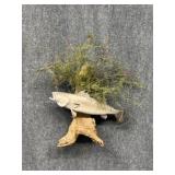 Fish Wall Mount