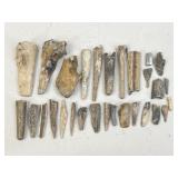 Bone Fragments / 29 pcs