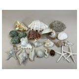 Natural Large Shell Assortment